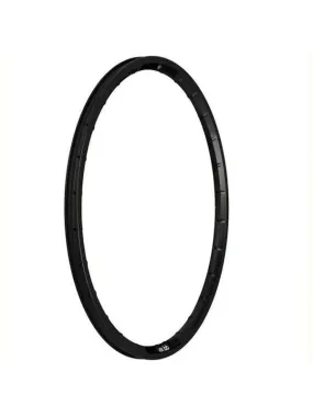 Box Hex Lab Carbon Rim Disc/Rear 36H